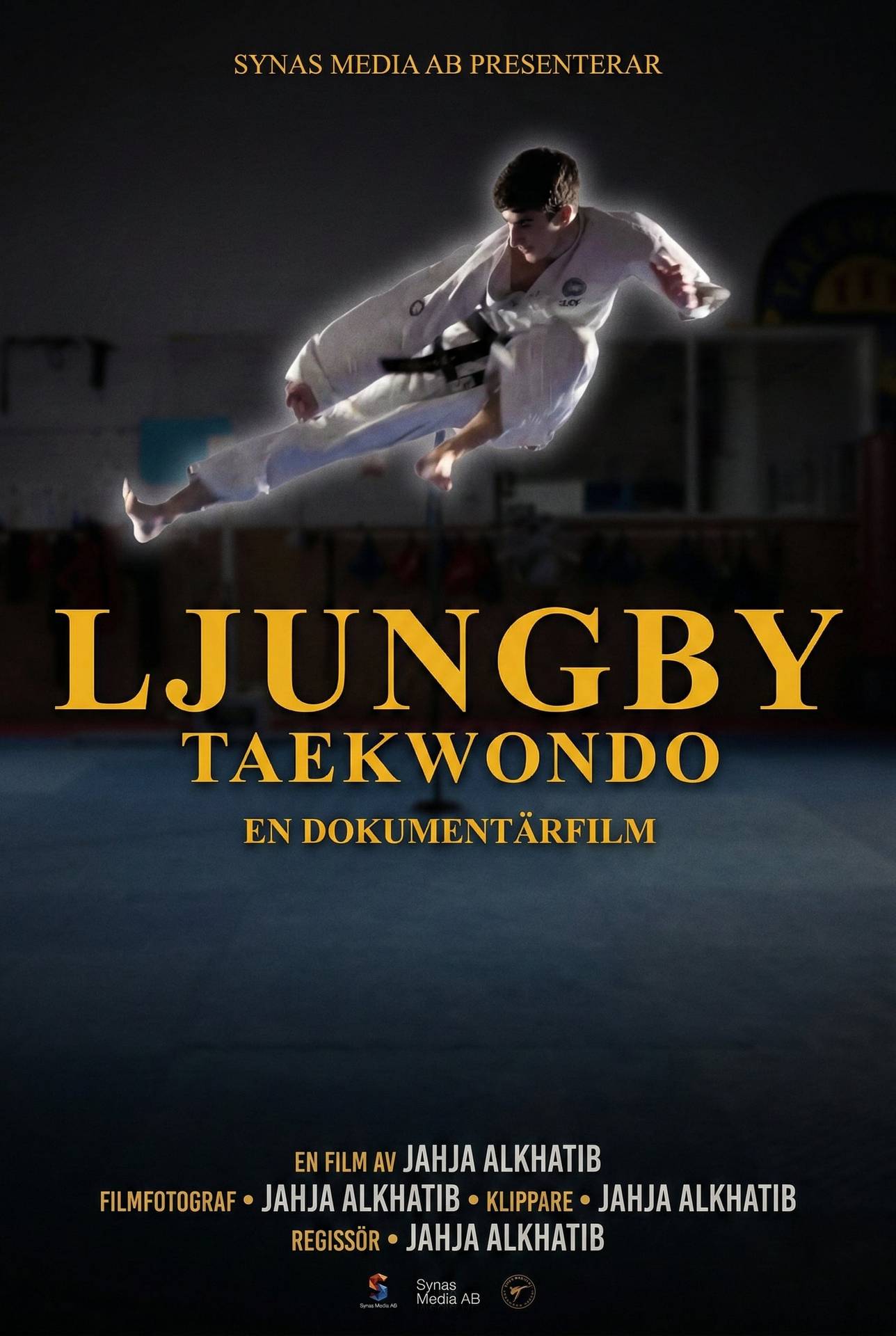 Poster for Ljungby Taekwondo